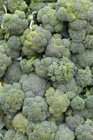 Fresh organic broccoli, on sunny Mediterranean market, close-up , selective focusの写真素材