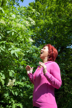 Allergy to pollen  mid aged woman sneezing among elder blossoms on sunny spring dayの写真素材
