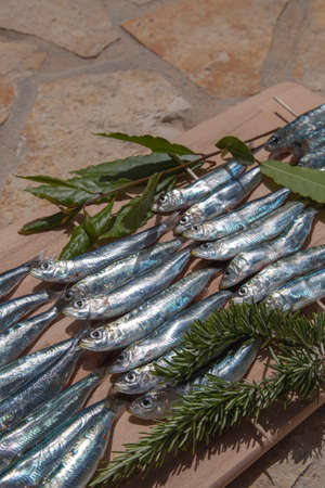 Fresh raw Mediterranean sardines, mackerel fishes, on wooden sticks, before BBQ grill, decorated with laurel and rosemary,  selective focusの写真素材