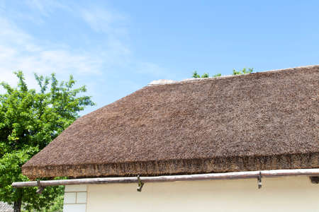 House whose roof were maded from straw reedの写真素材