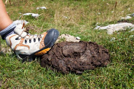 Human boot stepping on cow shit lying on mountain path near signpost, close-up