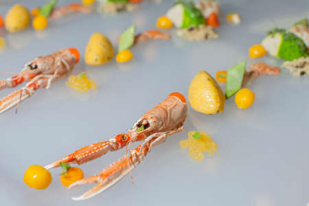 Colorful modern decoration Finger food Fruits of the sea with fresh scampi, selective focusの写真素材