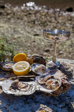 Romantic epicure orgy on the sea coast Fresh picked oysters and organic lemon and mediterranean herbs with silver champagne glassesの写真素材