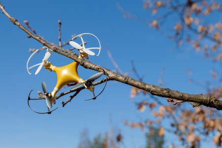 Drone quadcopter accident scene, DRONE Quadrocopter crashed on tree in city park. space for textの写真素材