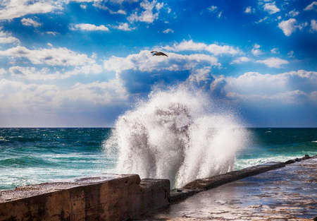 Dramatic stormy sea with seagull against cloudy blue sky, HDRの写真素材
