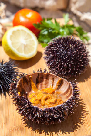 Fresh Sea Urchin served with mediterranean lemon, tomatoes, garlic, parsley, on wooden plate in stone house exteriorの写真素材