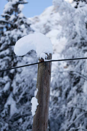 High snow sagged, curved, bent, crooked, on wooden pole in winter forest, space for text, dofの写真素材