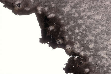 texture - burned paperの写真素材