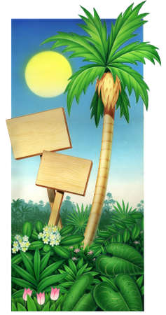 tropical palm tree and wood plaque with blue skyの写真素材