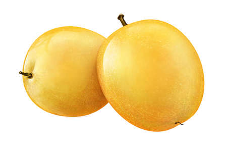 Juicy fresh of pears on whtie background H10の写真素材