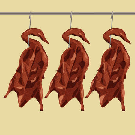 Illustration of Hong Kong style roasted duckの写真素材