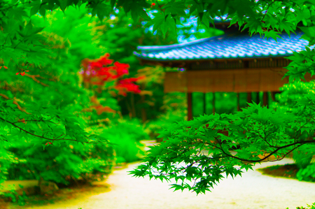 Nanzen-JI in Japanのeditorial素材