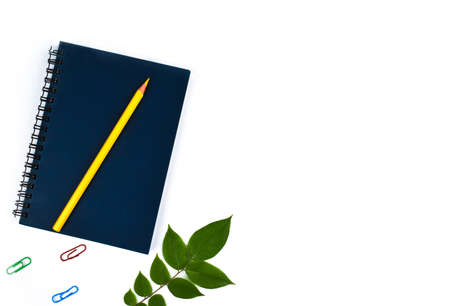 A single leaf beside a blue diary,a yellow wood pencil crayon and some pencil crayon before a paper...