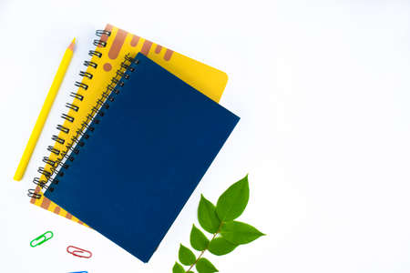 Different colored paper clips,two diaries a yellow wood pencil crayon and a green leaf before a...