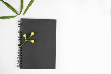 Small flower on top of a gray colored paper diary before a bright white backgroundの写真素材