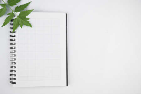Top view of come green leaves on top of a open white paper diary before a bright white backgroundの写真素材