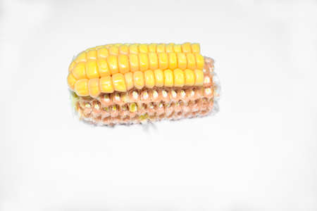 Picture of a half peeled ear of a yellow sweet corn before an isolated white backgroundの写真素材