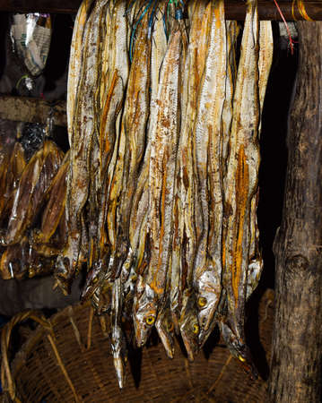 Bunch of fresh dry fishes which are hanging from a fence in a dry fish producing groundの写真素材