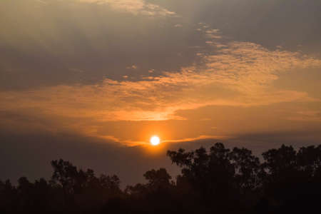 Sunrise in the morning while the sun is on top of bunch of different tall rural trees