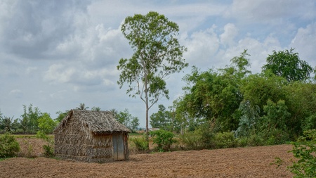 Farm life rural Vietnam - Dry field for growing vegetables with some trees and a shed. It seems time is sometimes standing still in southeast Asia.の写真素材