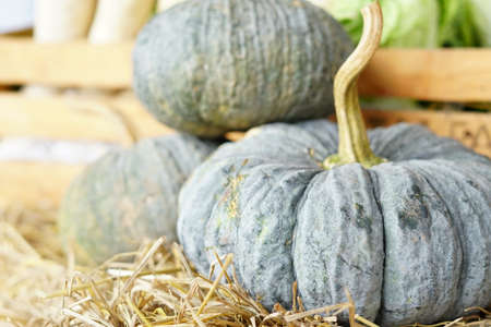 Pumpkin on straw in a fram.