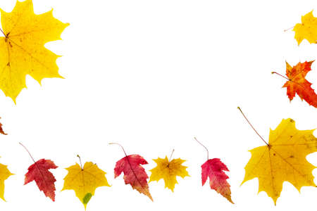 Frame made of autumn leaves, orange and yellow and different types on a white background. Horizontal photoの写真素材