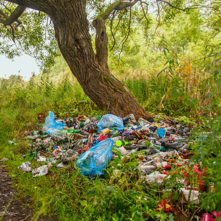 Garbage dump in the park in nature.の写真素材