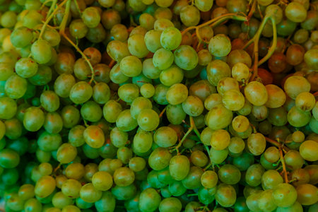 Fresh green and black grapes on the market counter. horizontal photoの写真素材