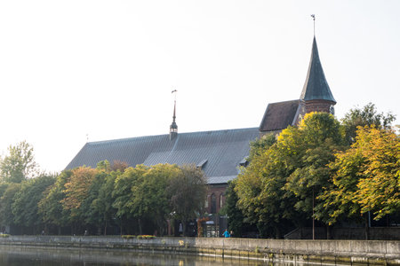 October 2, 2023, Russia, Kaliningrad, Koenigsberg Cathedral on the square behind the trees. horizontal photoのeditorial素材