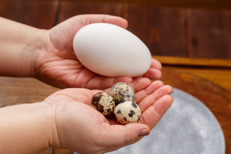 Chicken goose and quail eggs in female hands comparison. Horizontal photo.の写真素材