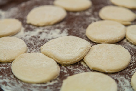 Circles of cookie dough on a table sprinkled with flour.. Horizontal photo.
