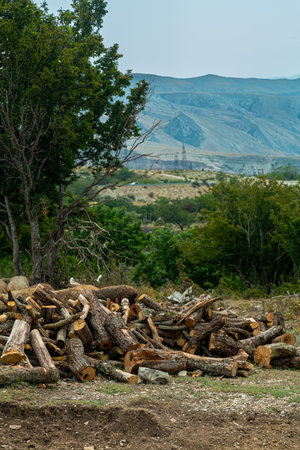 Fragments of stones and rocks against the background of mountains in a hazy haze and sky. Vertical photoの写真素材