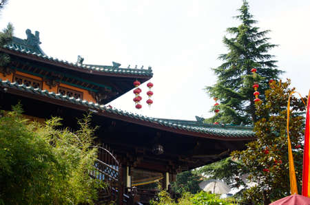 Rollercoasterの写真素材