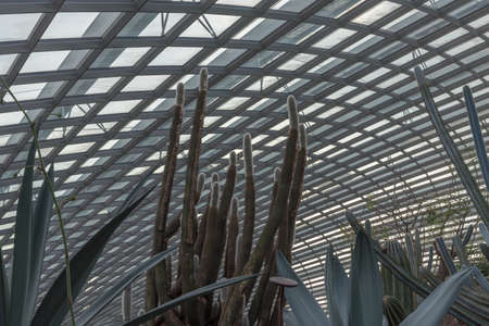 singaporeの写真素材