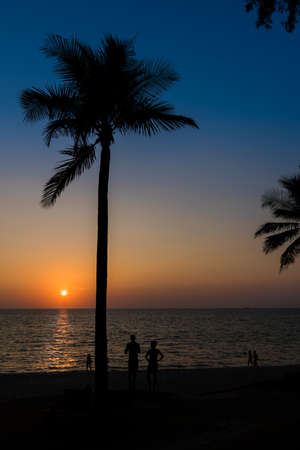 sunset silhouette at the beachの写真素材