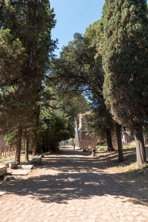 romeの写真素材