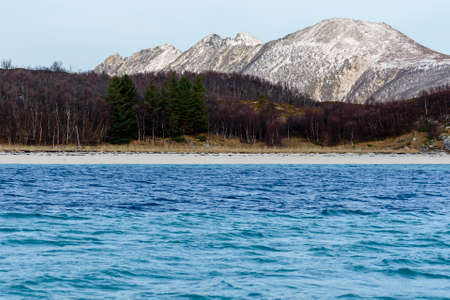 Beachの写真素材