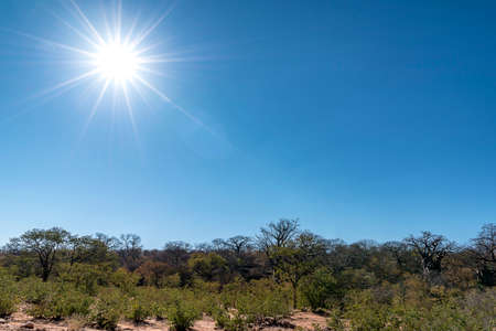 Desertの写真素材