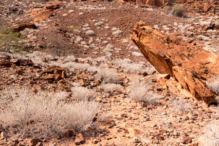 desertの写真素材