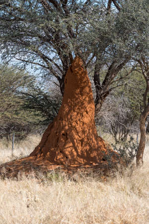 desertの写真素材