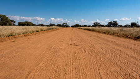 desertの写真素材