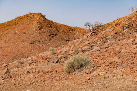 desert