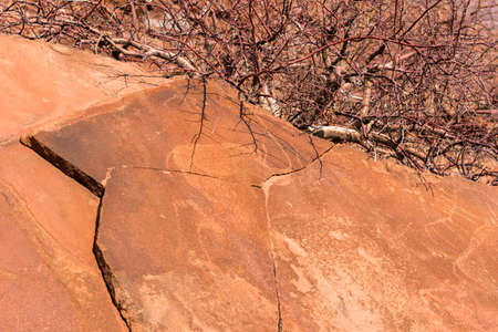 desert