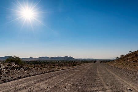 Arrayの写真素材