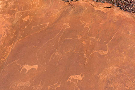 Arrayの写真素材