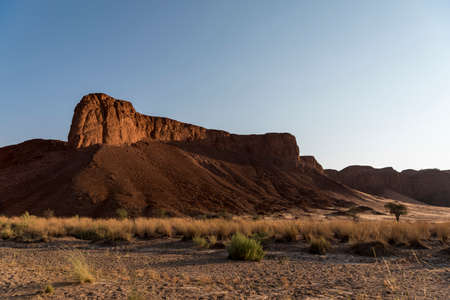 desert
