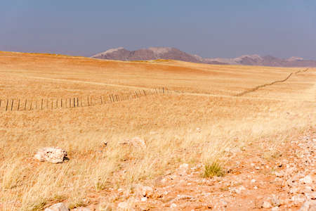 desertの写真素材