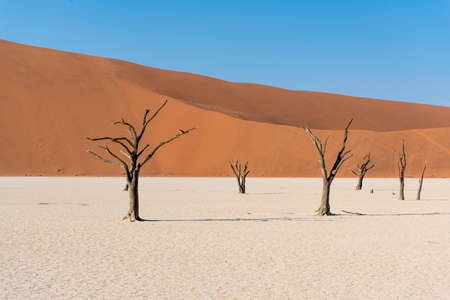 desertの写真素材