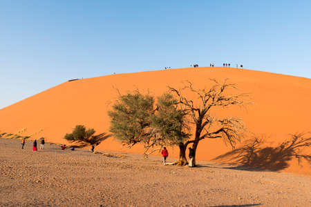 desert and touristのeditorial素材