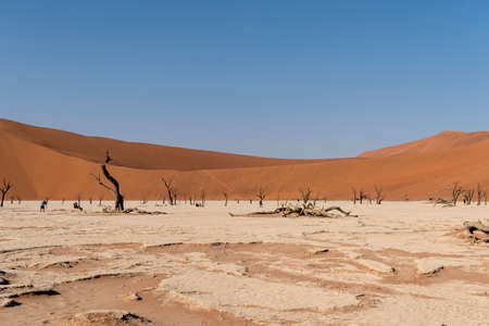 Narnib desertの写真素材